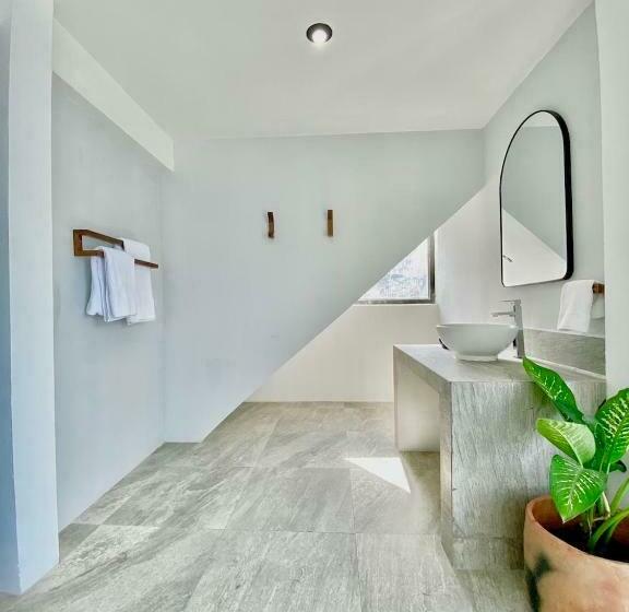 سوئیت با تخت بزرگ, Monaco