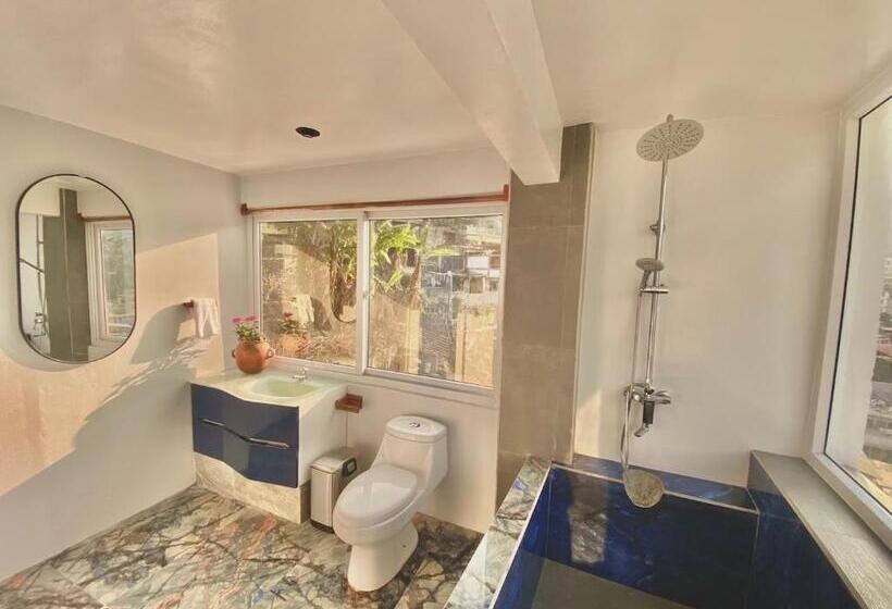 خانه 1 خوابه, Monaco