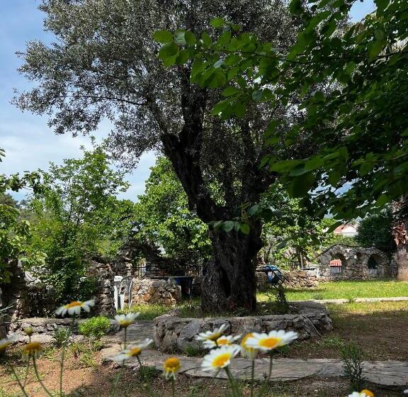 اتاق استاندارد سه نفره, New Golden Gate Butik Otel