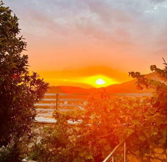 اتاق لوکس, Mistral Inn