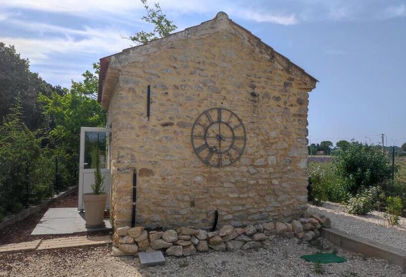 Номер Стандарт, Mas De Manon