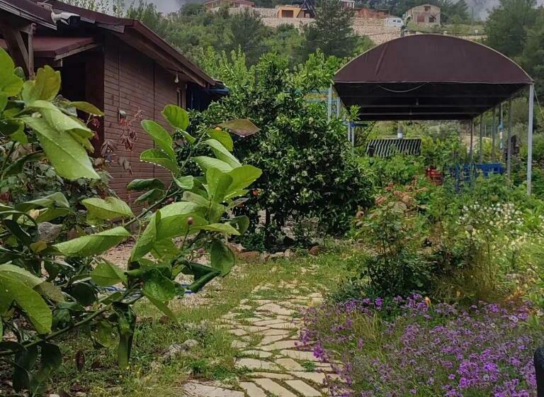 اتاق استاندارد سه نفره, Yolda Bungalow Cafe