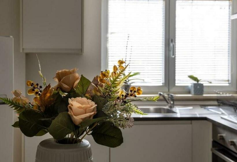 Студия Стандарт, Residence Alessandra