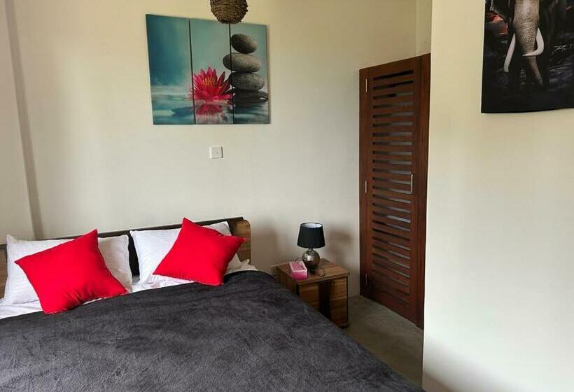 マウンテンビュースタンダードルーム, O Neill S Cottage