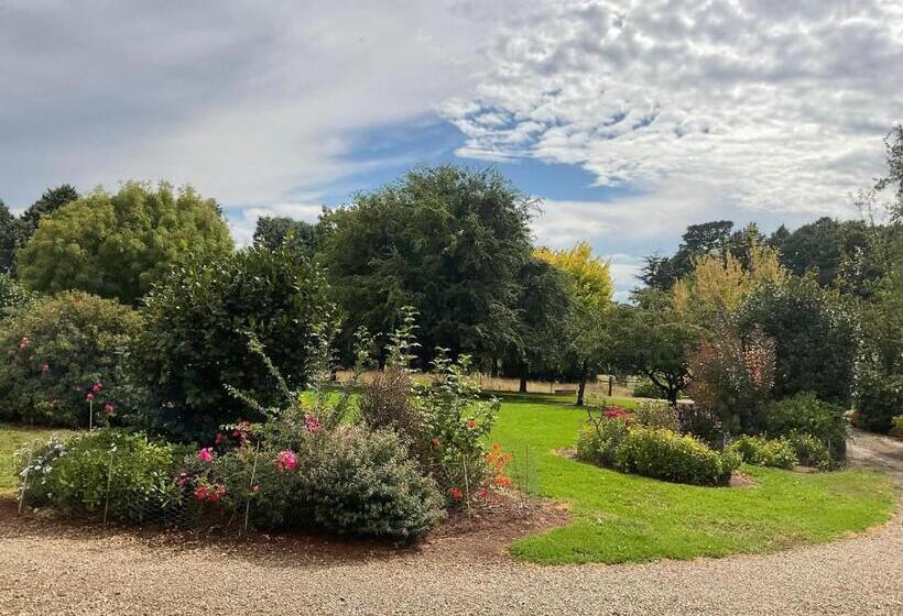 ３ベッドルームアパートメント, Kimbell Hill