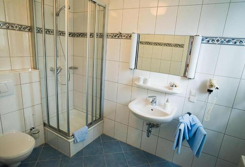 Номер Стандарт Индивидуальный, Golfhotel Denzerheide