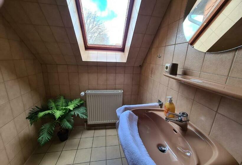 スタンダードシングルルーム, Ceteno