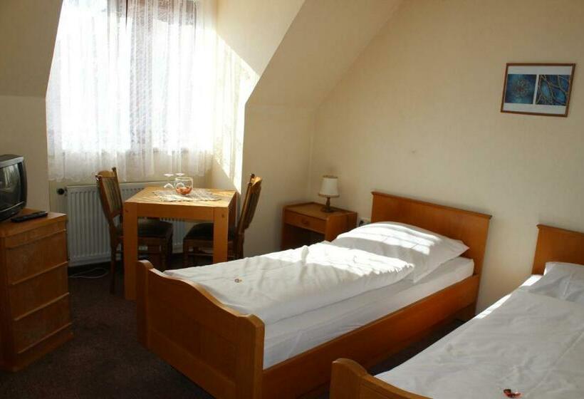 スタンダードシングルルーム, Ceteno