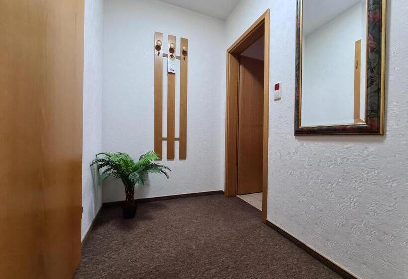 スタンダードルーム, Ceteno