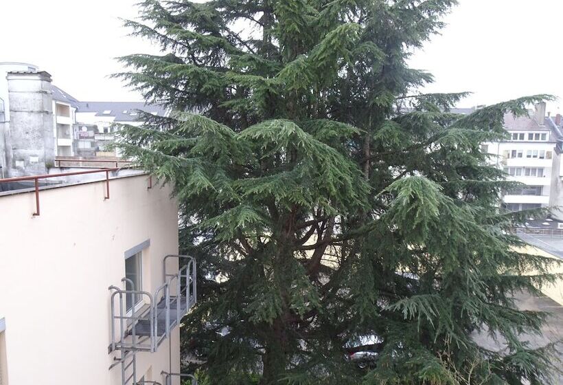 标准单人间, Gastehaus Grupello