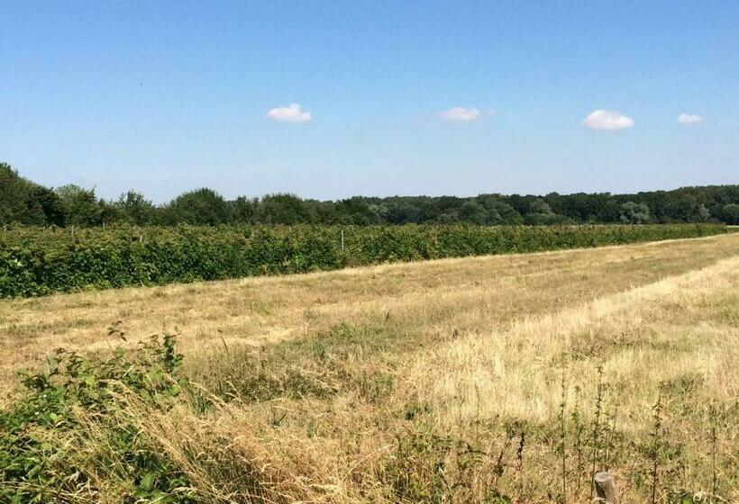 Номер Стандарт, Johanneshof Gästehaus