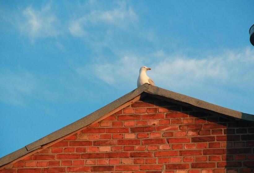 חדר אקונומי, Lili Marleen