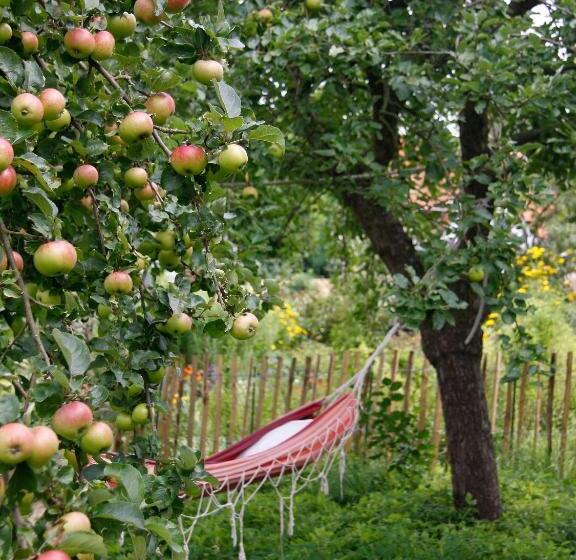 דירת משפחה, Lili Marleen