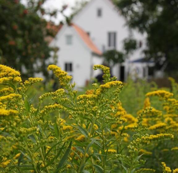 בקתה, Lili Marleen