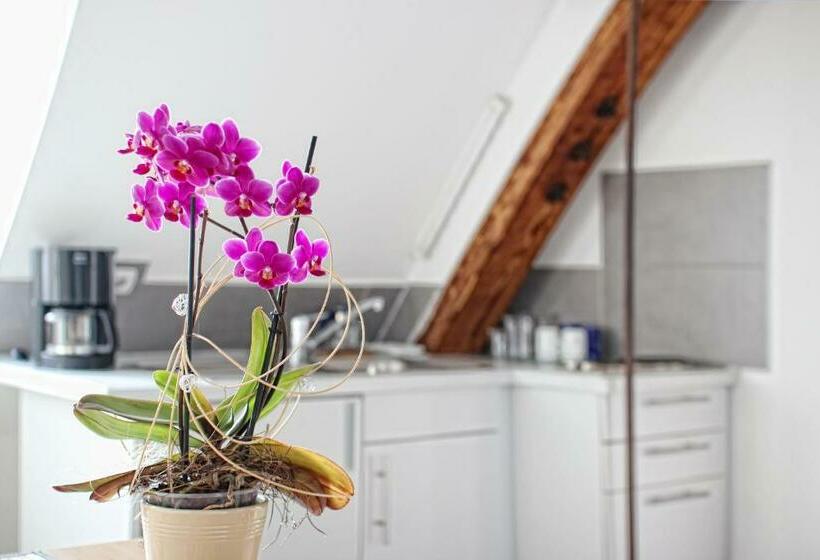 Студия Superior, Milchhof Apartments Aschaffenburg