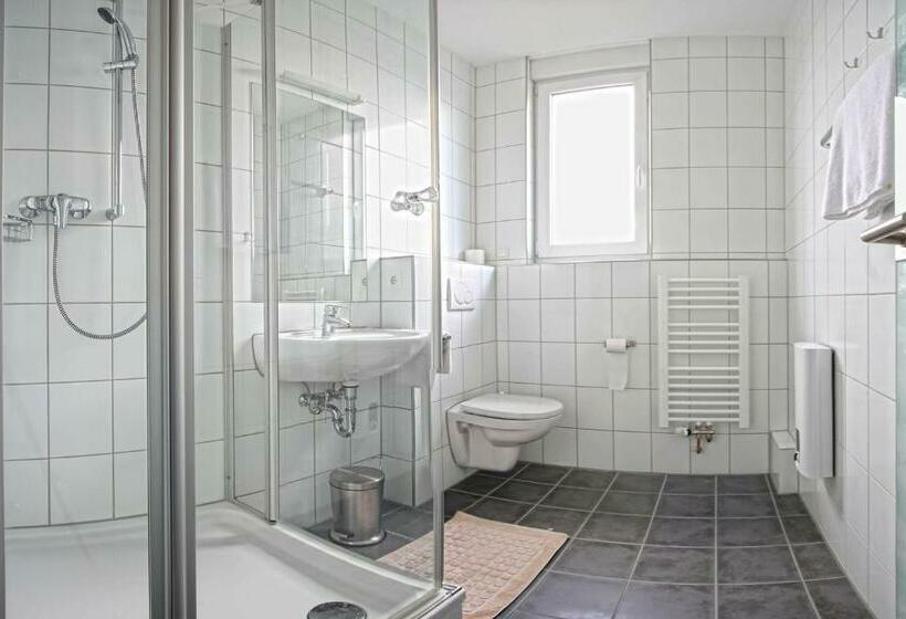 Студия Стандарт, Milchhof Apartments Aschaffenburg