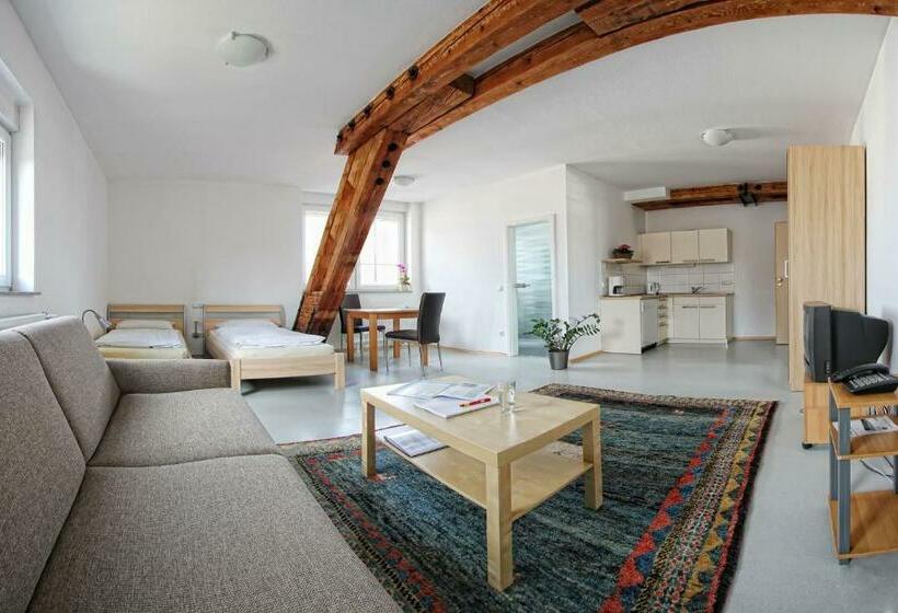 Студия Стандарт, Milchhof Apartments Aschaffenburg