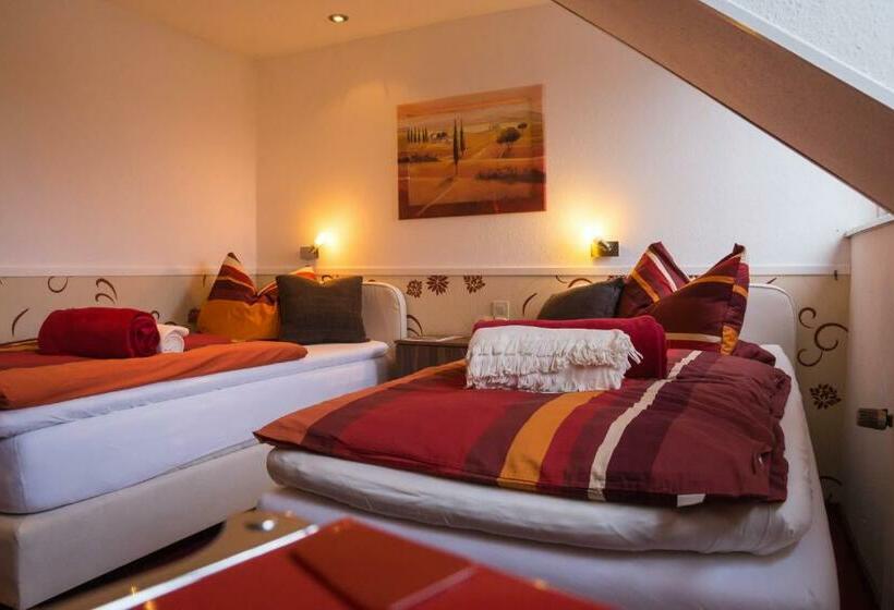 スタンダードルーム, Oberkasseler Hof Bonn