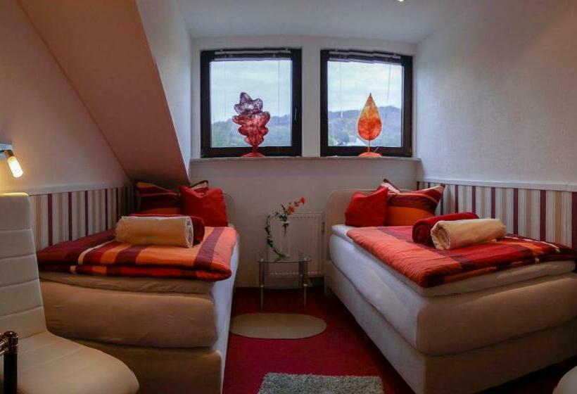 スタンダードルーム, Oberkasseler Hof Bonn