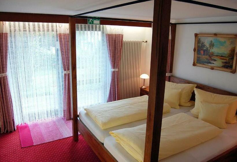 Апартаменты 1 Спальня с Террасой, Pension   Heidelberg