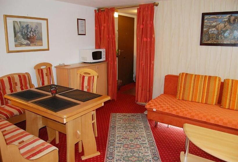 Apartamento 1 Dormitório com Terraço, Pension   Heidelberg