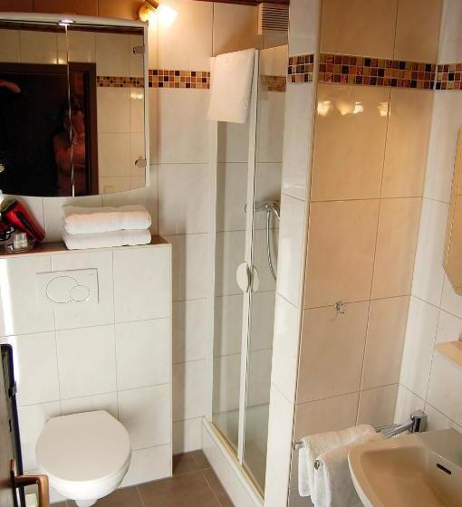 Люкс Повышенной Комфортности, Pension   Heidelberg