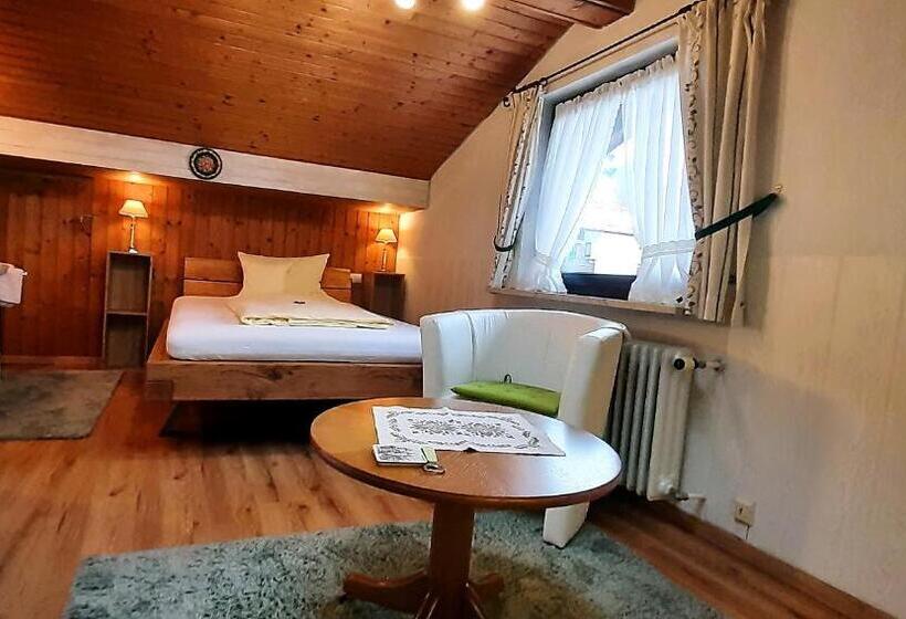 Номер Economy Индивидуальный, Pension   Heidelberg