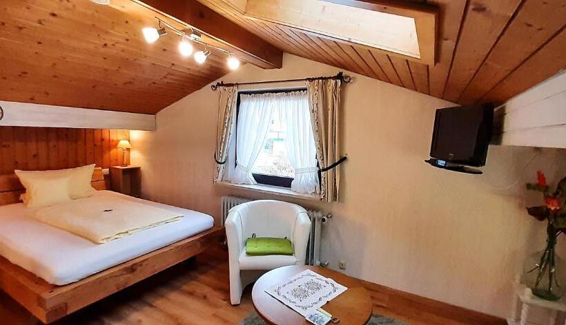 Номер Economy Индивидуальный, Pension   Heidelberg