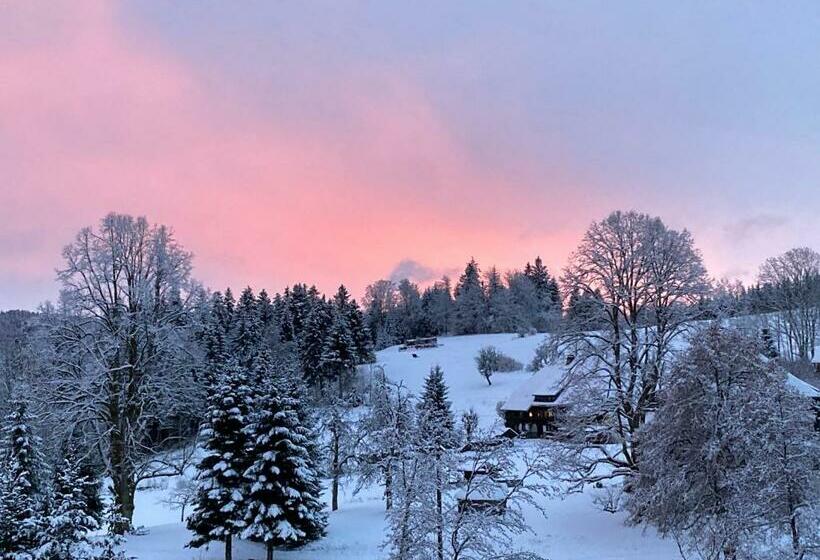 اتاق استاندارد, Boutique Hotel And Apartments Pension Sternen