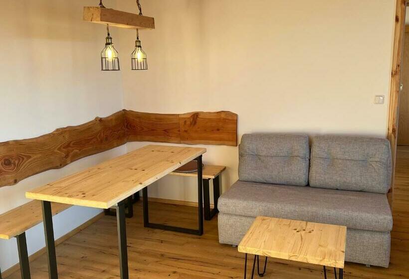 آپارتمان 1 خوابه با بالکن, Boutique Hotel And Apartments Pension Sternen