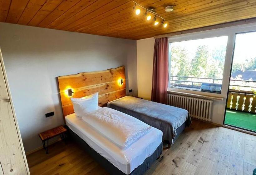 اتاق استاندارد, Boutique Hotel And Apartments Pension Sternen