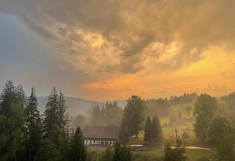 آپارتمان 1 خوابه با بالکن, Boutique Hotel And Apartments Pension Sternen