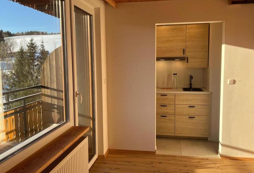 آپارتمان 1 خوابه با بالکن, Boutique Hotel And Apartments Pension Sternen