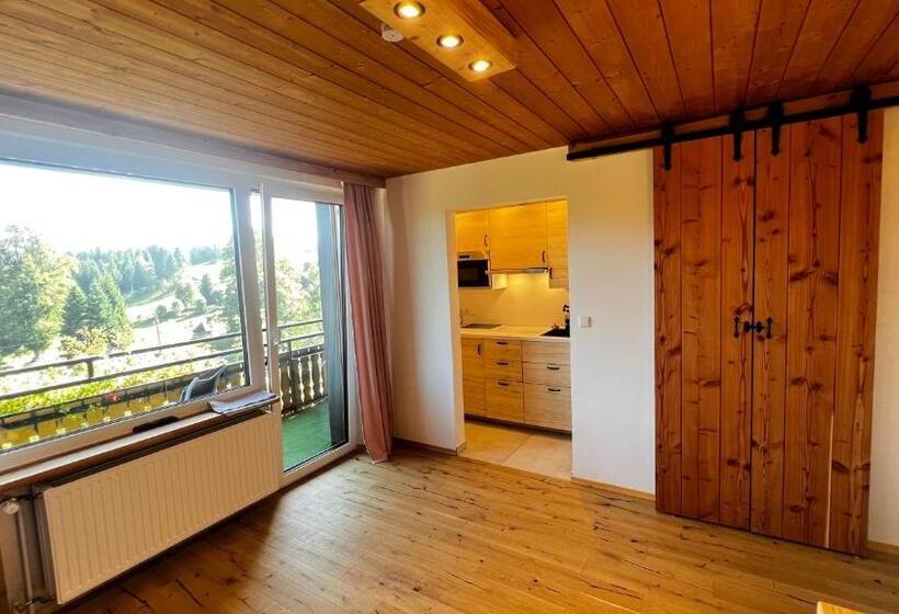 آپارتمان 1 خوابه با بالکن, Boutique Hotel And Apartments Pension Sternen