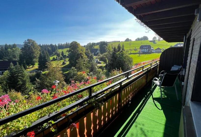 آپارتمان 1 خوابه با بالکن, Boutique Hotel And Apartments Pension Sternen