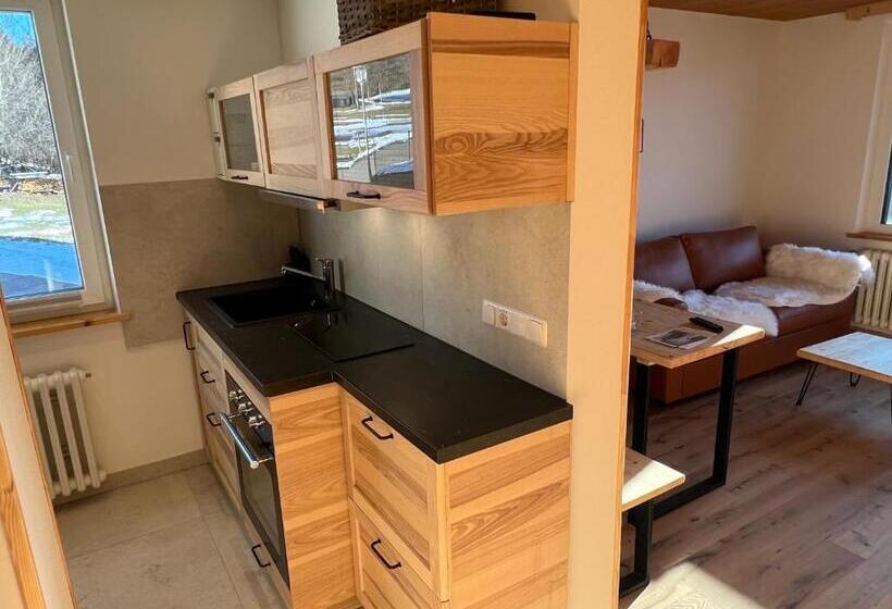 آپارتمان 1 خوابه با چشمانداز, Boutique Hotel And Apartments Pension Sternen