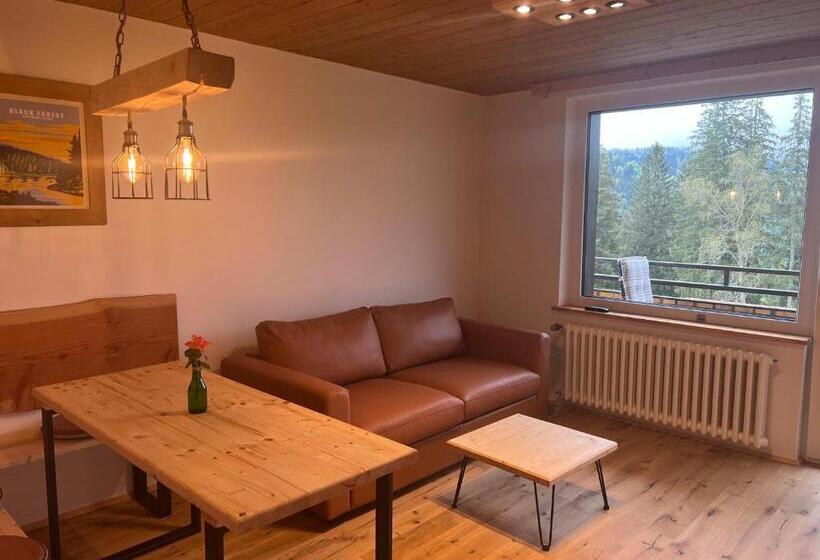 آپارتمان 1 خوابه با چشمانداز, Boutique Hotel And Apartments Pension Sternen