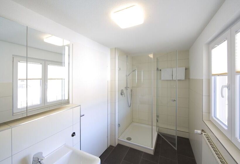 Номер Стандарт, Taste Style Hotel Bären Auggen