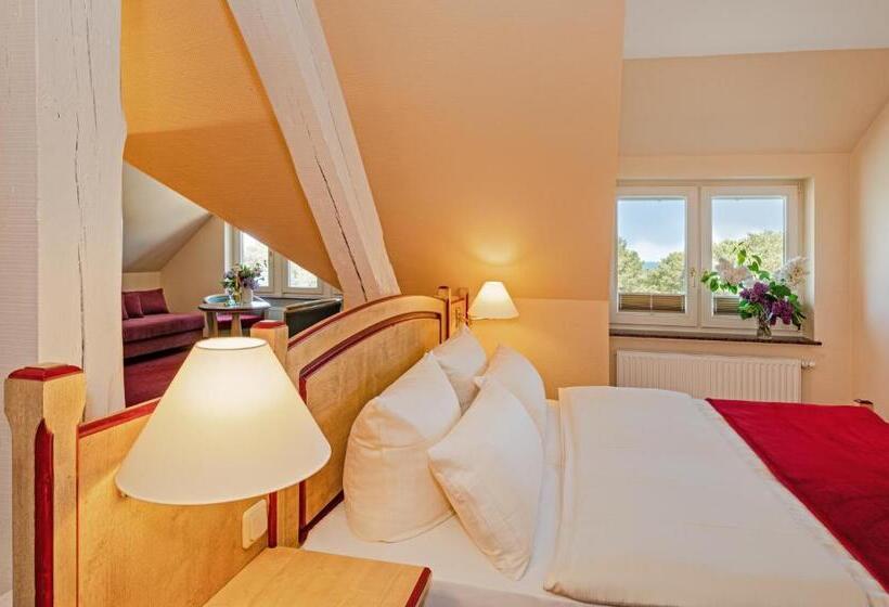 Полулюкс Вид на Море, Vineta Strandhotels