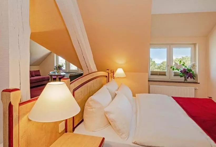 オーシャンビュージュニアスイート, Vineta Strandhotels