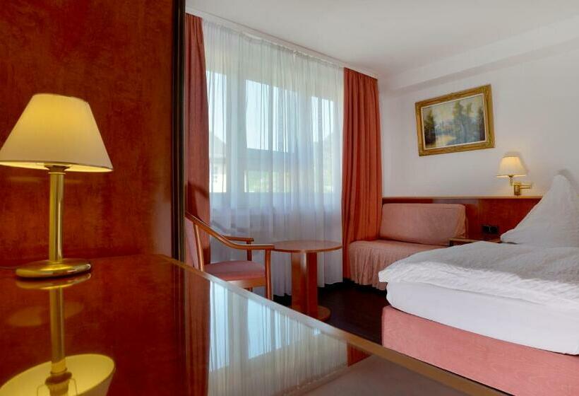 스탠다드 싱글 룸, Zehnthof