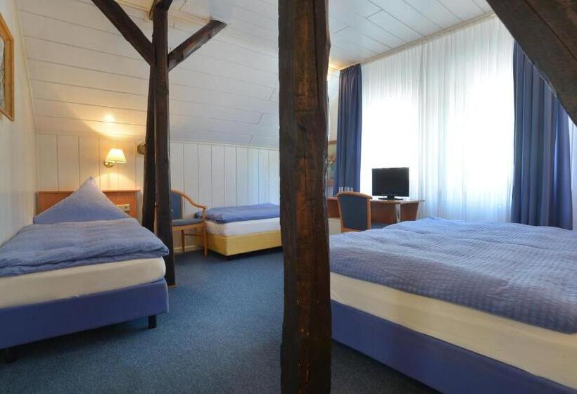 스탠다드 트리플 룸, Zehnthof