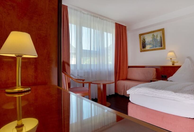 스탠다드 싱글 룸, Zehnthof