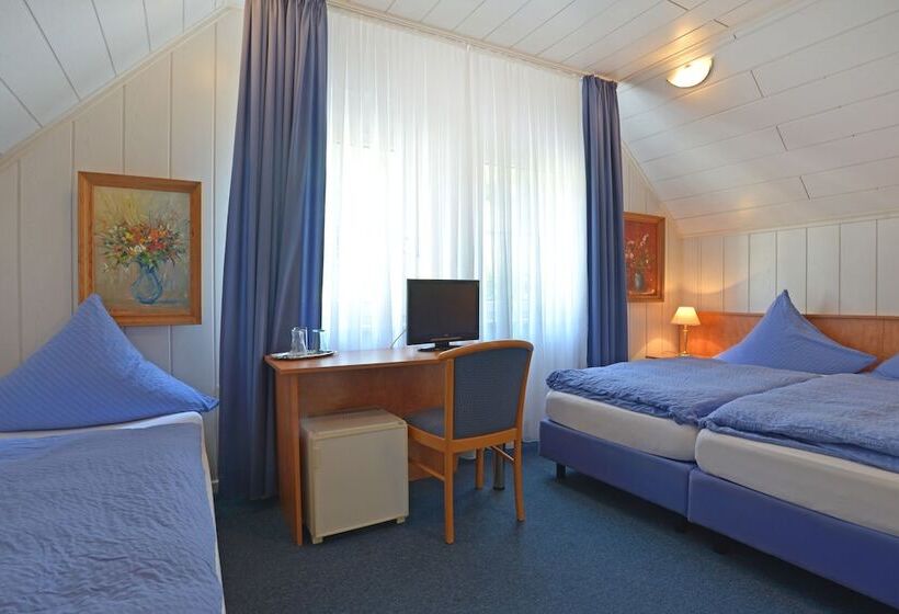 اتاق استاندارد چهار تخته, Zehnthof
