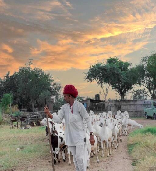 فيلا غرفتين نوم, Stayvista S Gaudhuli Farmstay   Outdoor Pool & Terrace With View