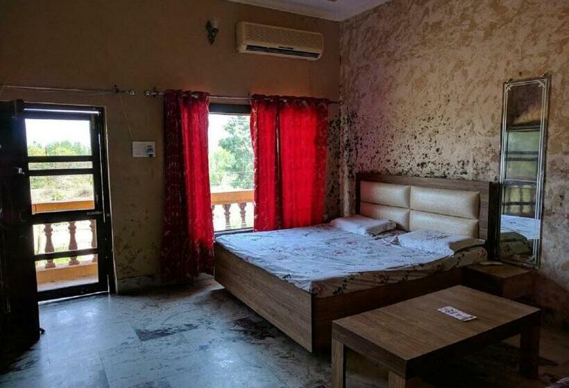 Camera Deluxe, Ivy, Talwara