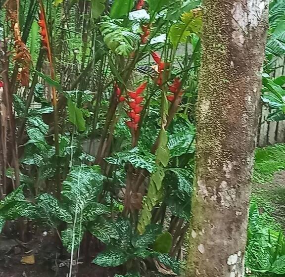 套房, Villa Dos Pássaros Paraty Hospedagem
