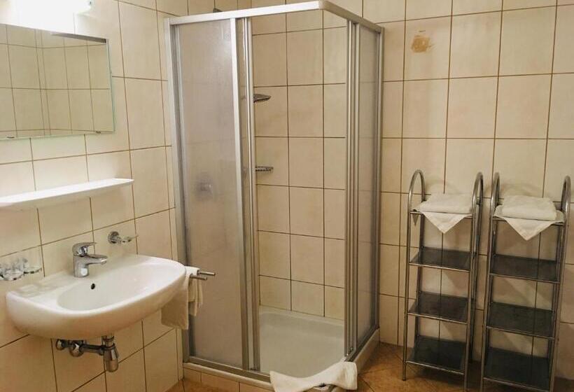 آپارتمان 1 خوابه, Pension Schneider