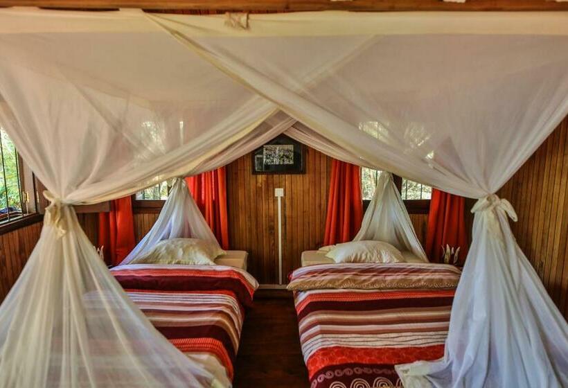 اتاق استاندارد, Relais Du Kirindy