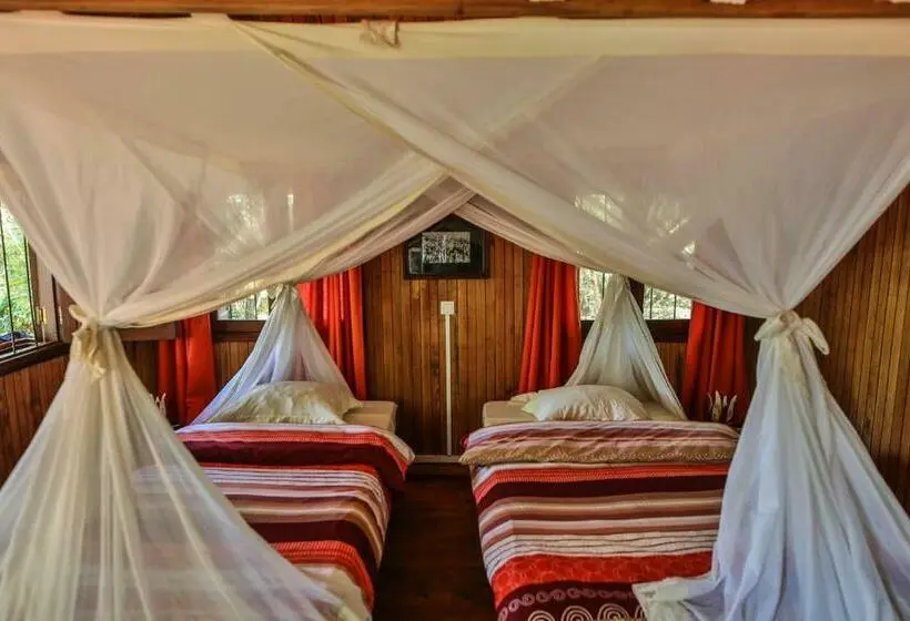 اتاق استاندارد, Relais Du Kirindy